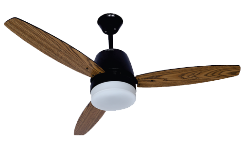 Designer Fan Manufacturers